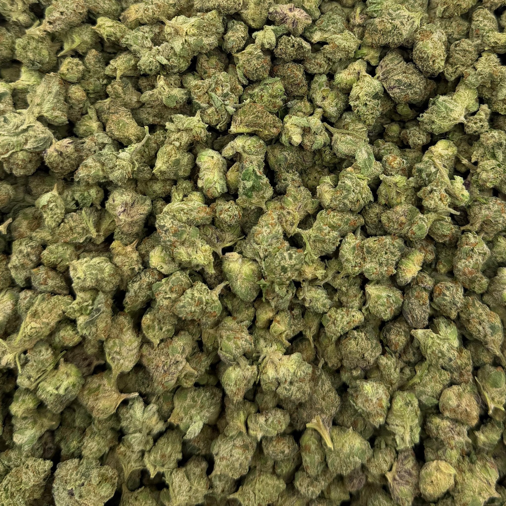 Zero Gravity bulk THCA flower — Plain Jane 1 lb