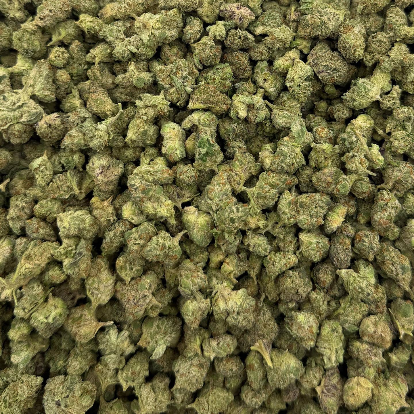 Zero Gravity bulk THCA flower — Plain Jane 1 lb