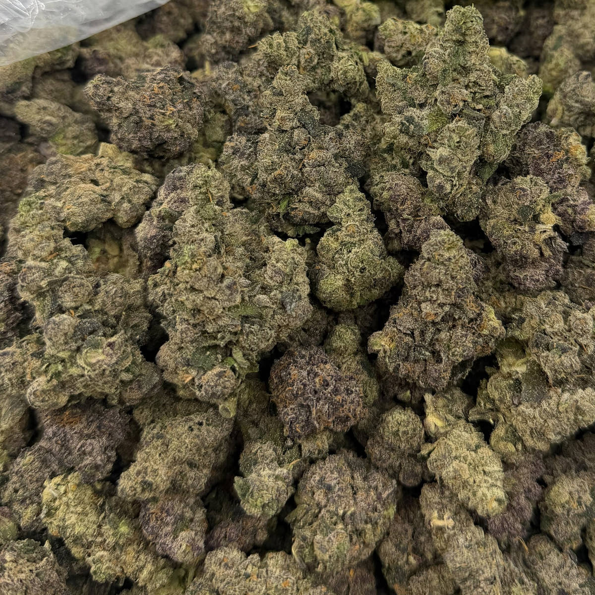 Ztarburst bulk THCA flower — Plain Jane 1 lb