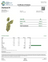 Certificate of analysis for Ztarburst bulk THCA flower