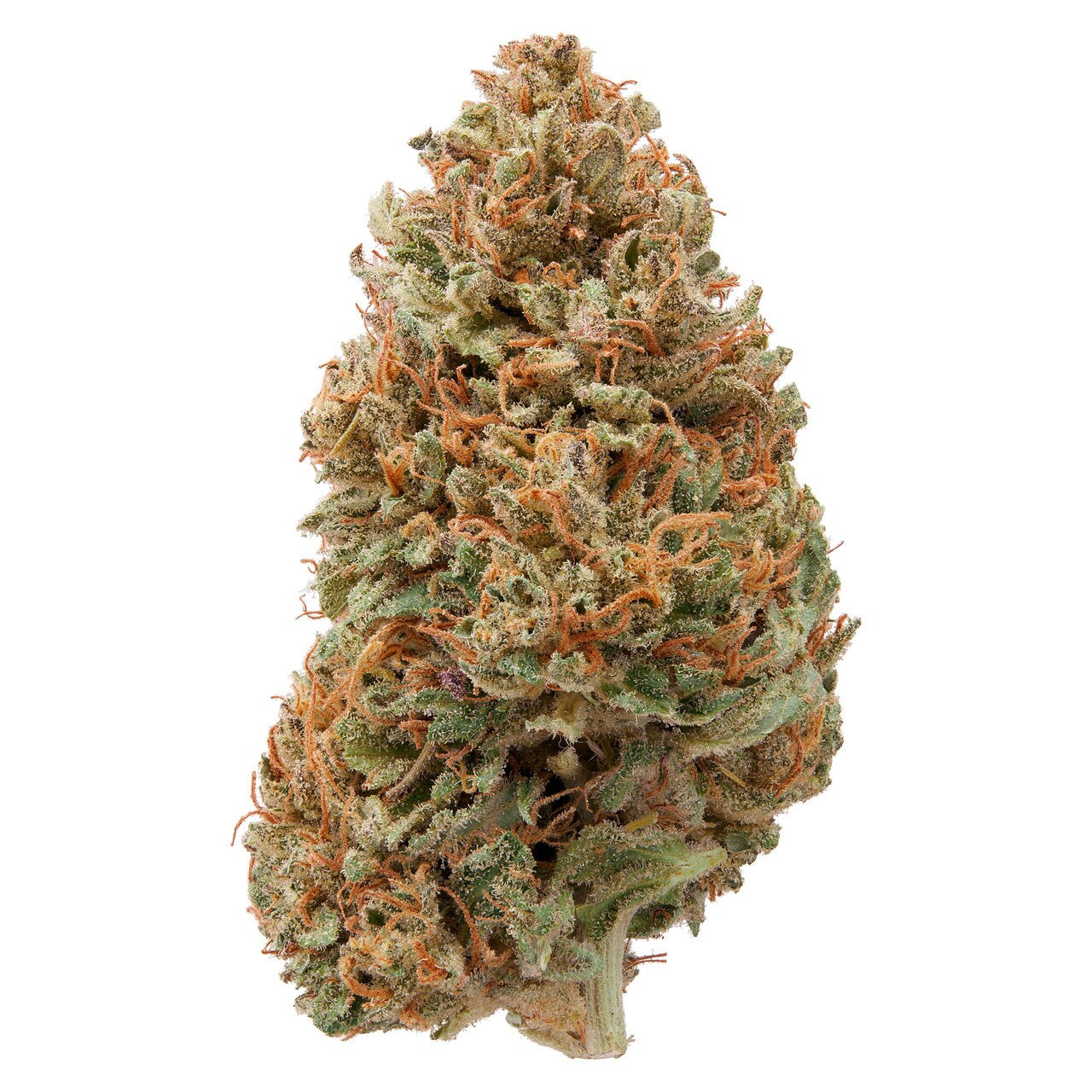 Hawaiian Haze | Sour Hawaiian Haze