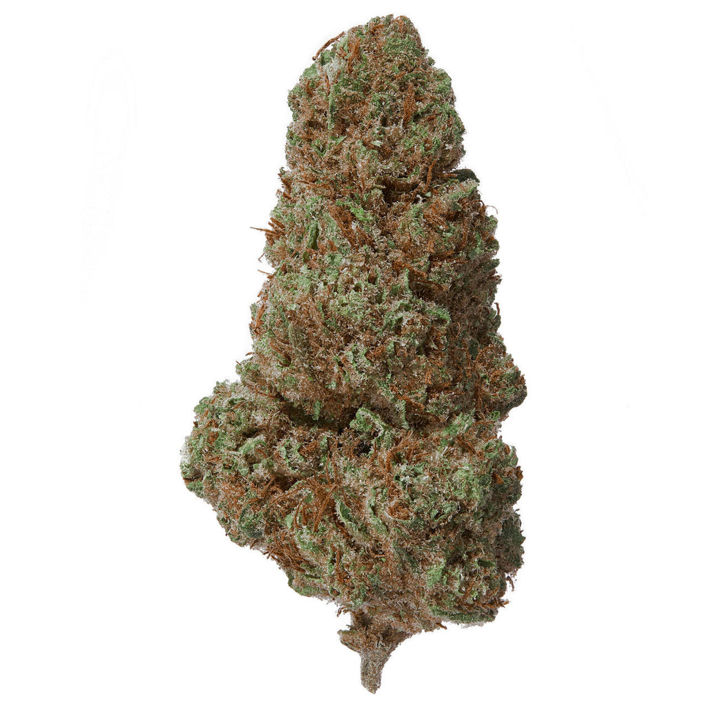 Cobbler Hemp Indoor Flower