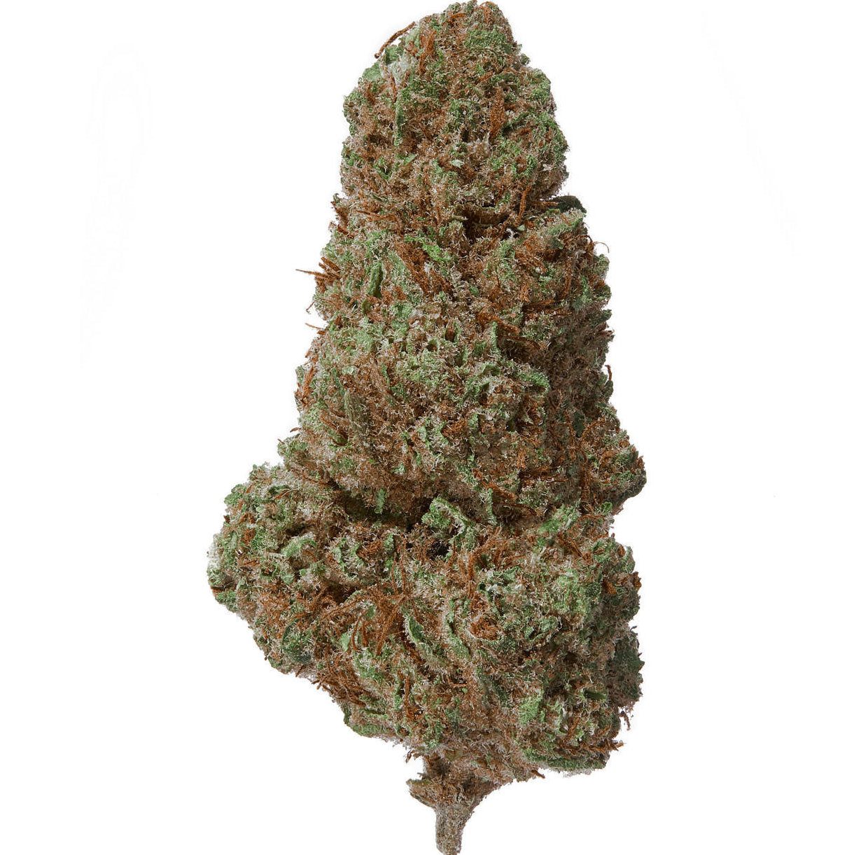 Cobbler Hemp Indoor Flower