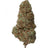 Cobbler Hemp Indoor Flower