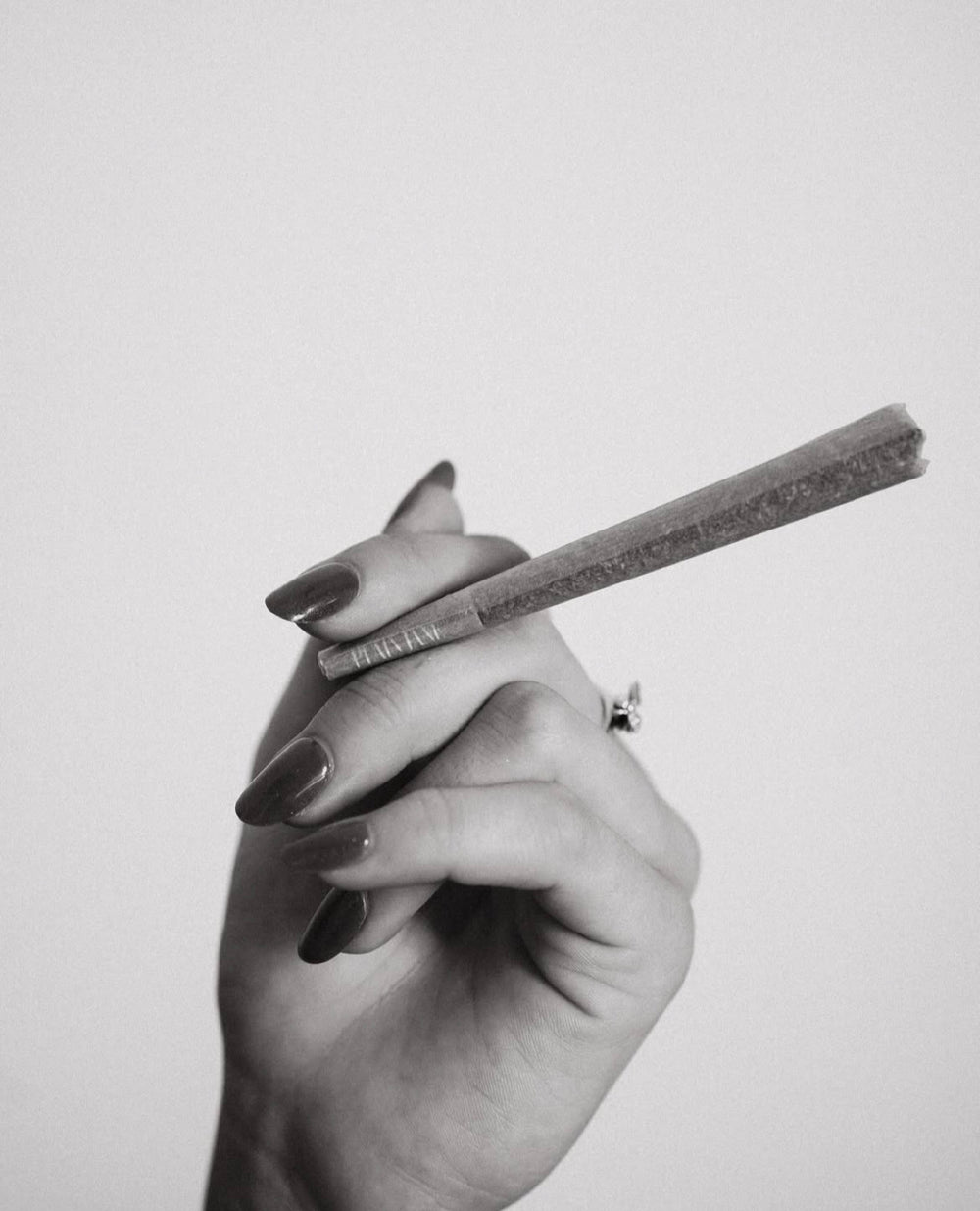 Black-and-white study of a hand holding a Plain Jane hemp roll