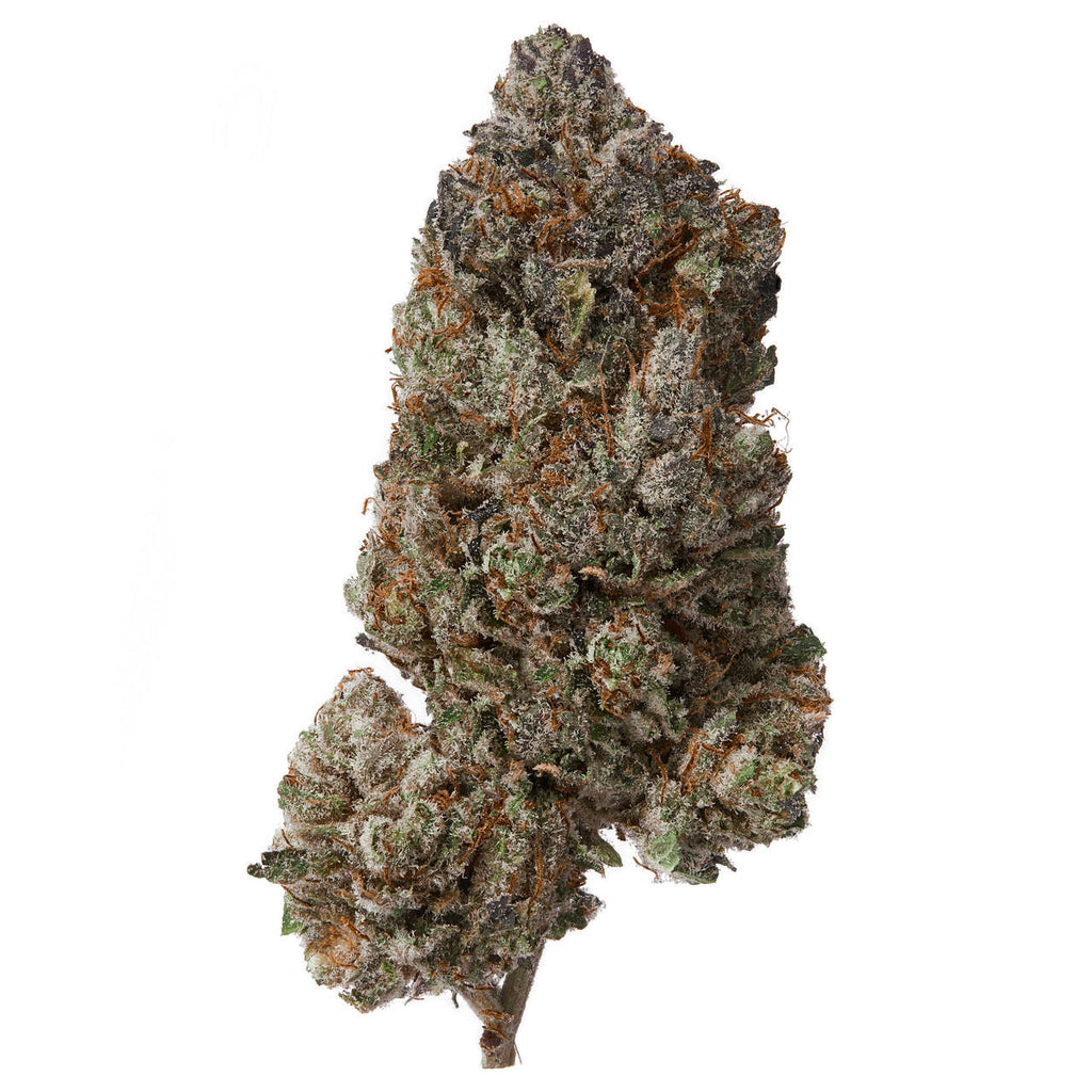 Purple Kush Pop Indoor Flower