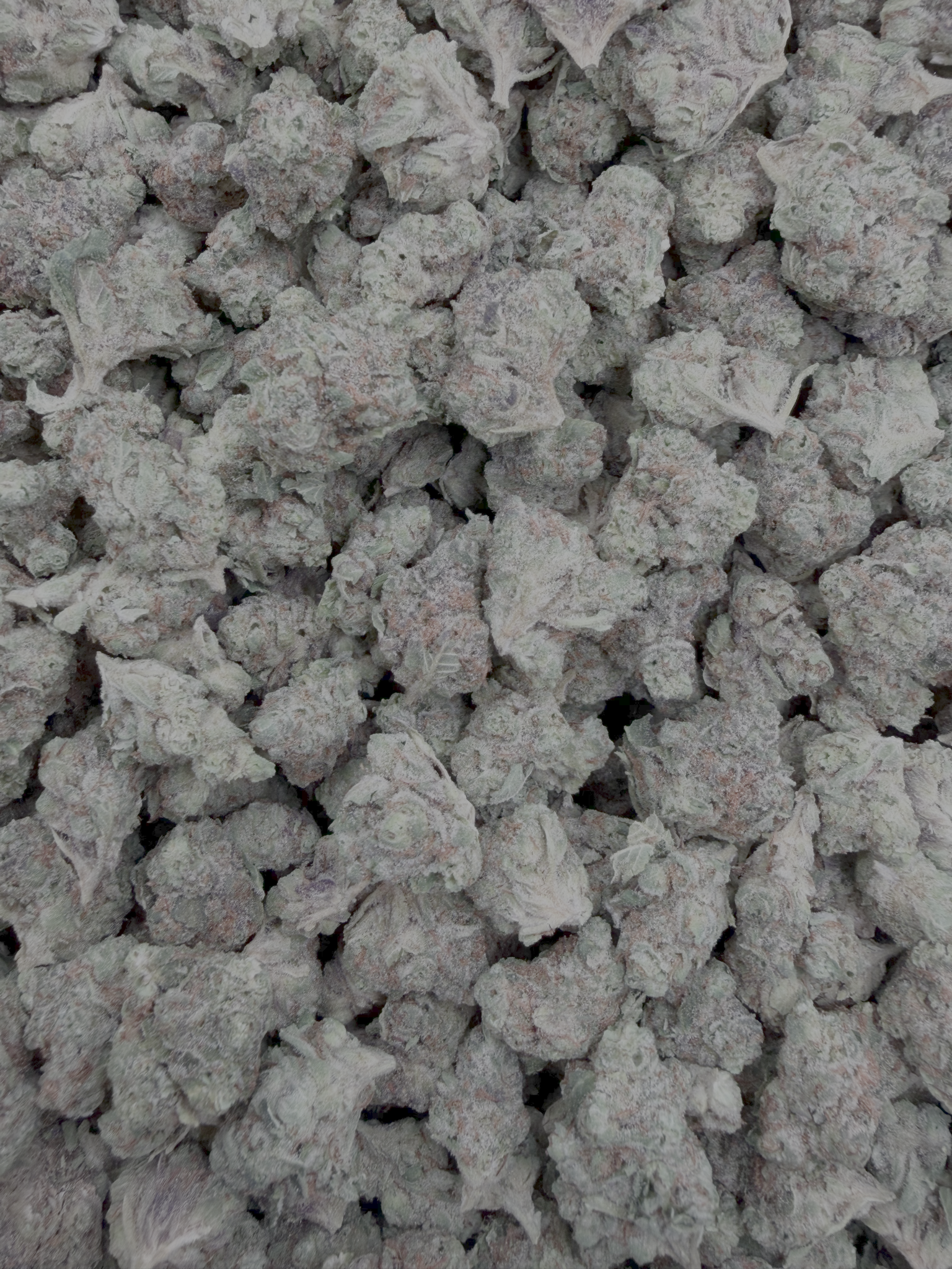 Powdered Donuts Indoor Smalls THCA flower – full-frame current-batch buds