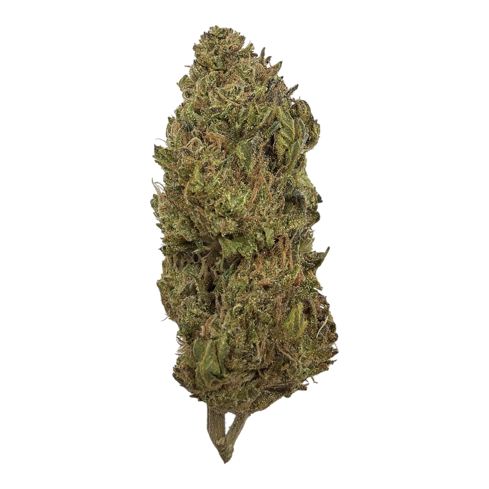Purple Cream Pie Light Assist THCA Flower
