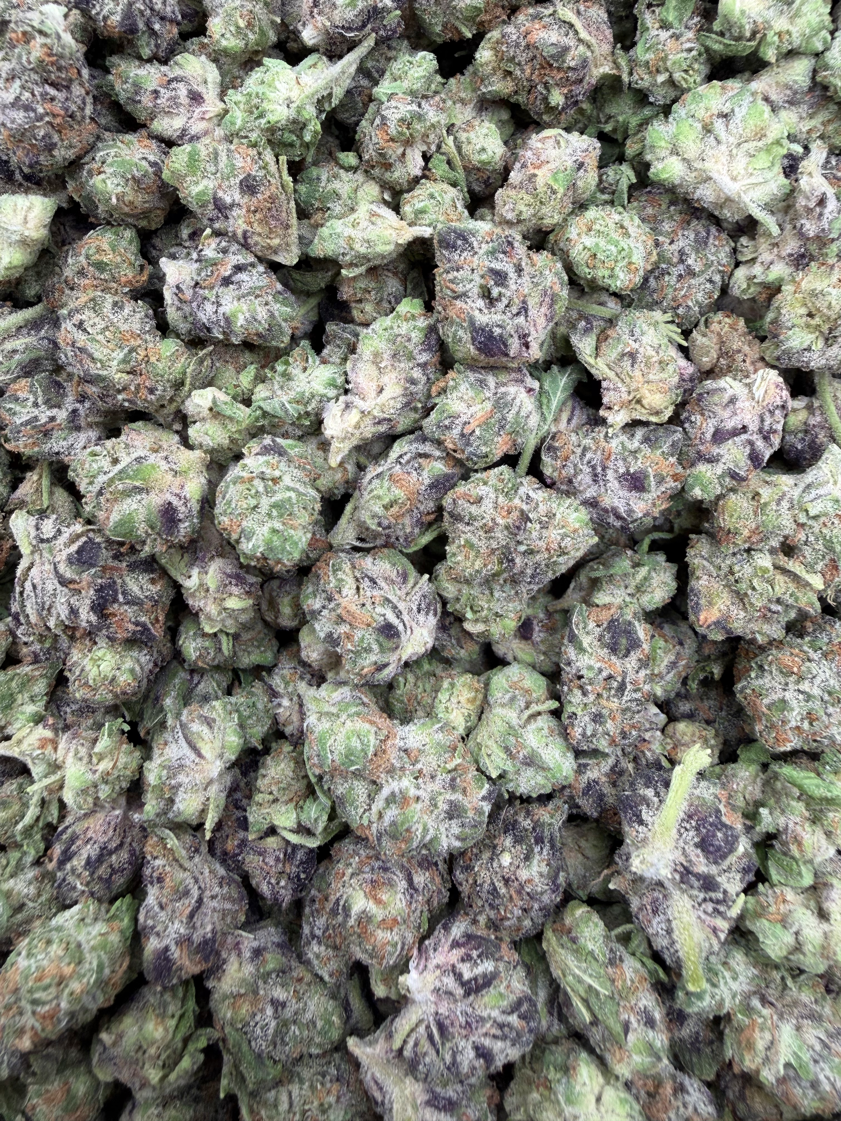 Purple Milk Smalls THCA flower full framed lot