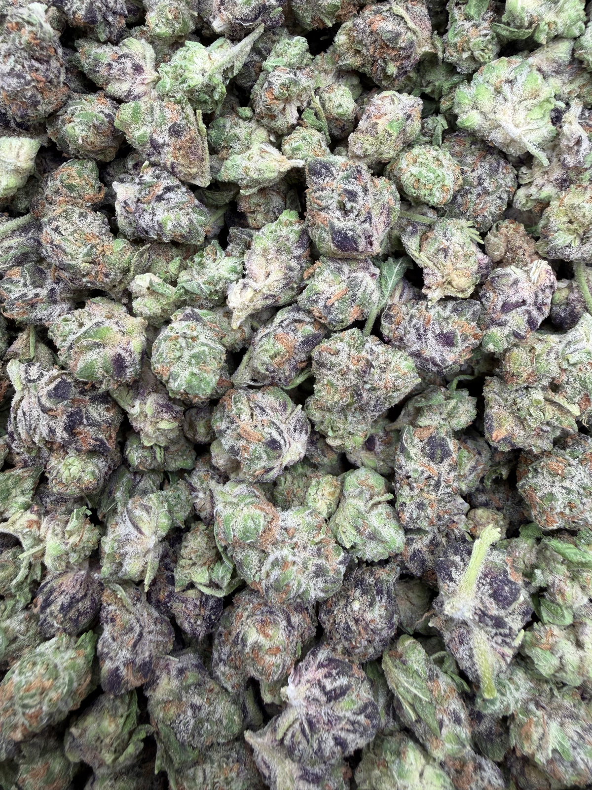 Purple Milk Smalls THCA flower full framed lot
