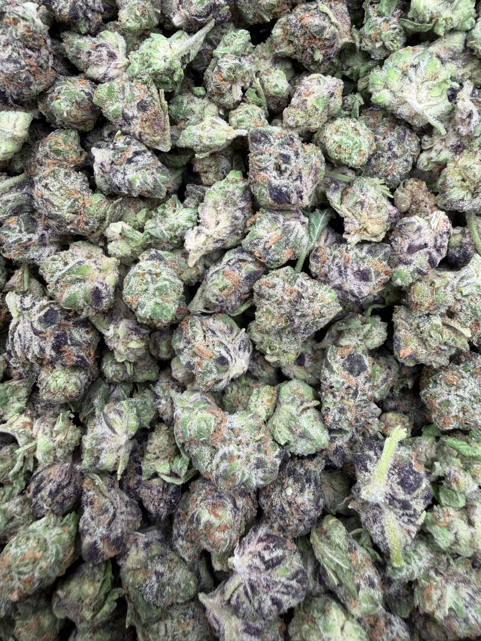Purple Milk Smalls THCA flower – current full-lot view