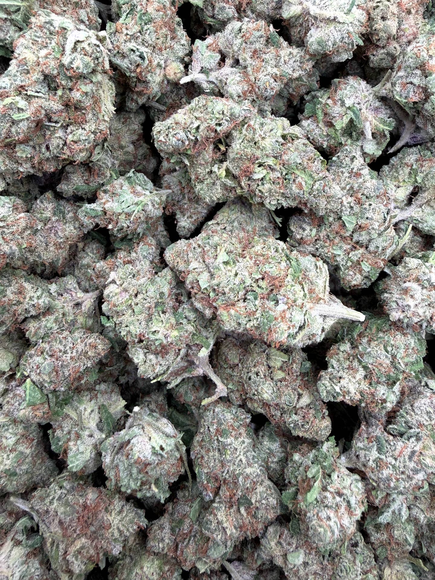 Purple Nebula Light Assist THCA flower current batch close-up