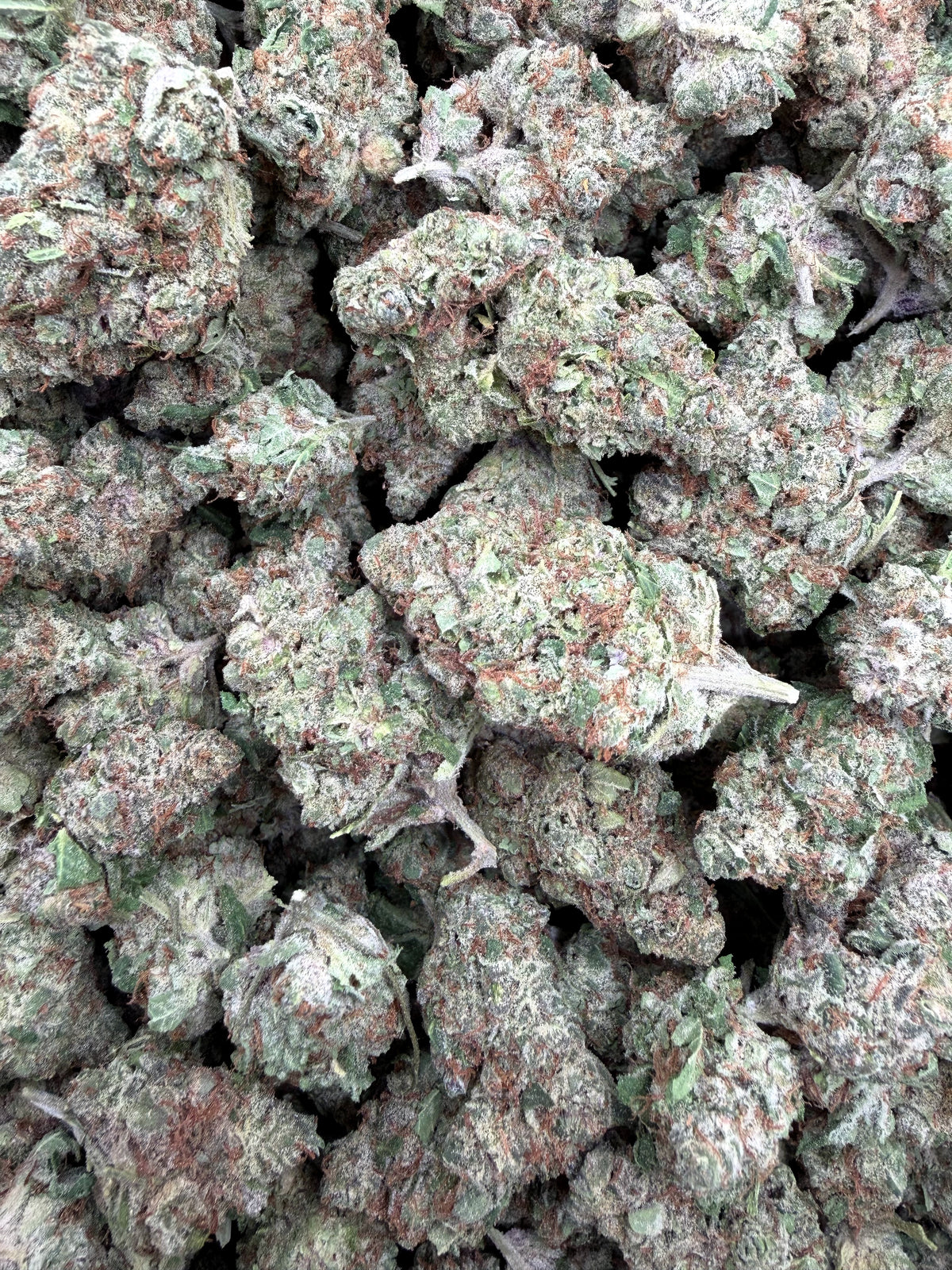 Purple Nebula Light Assist THCA flower current batch close-up