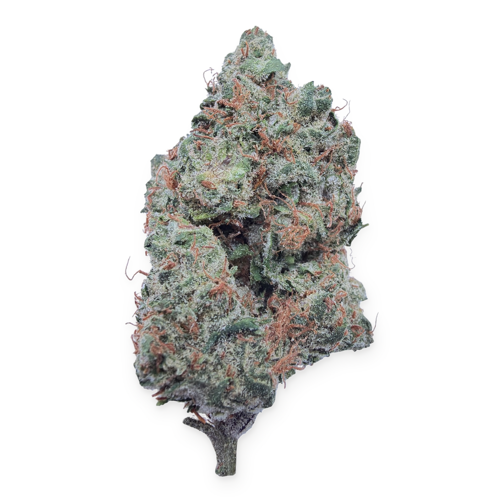 Purple Nebula Light Assist THCA flower isolated buds on white background
