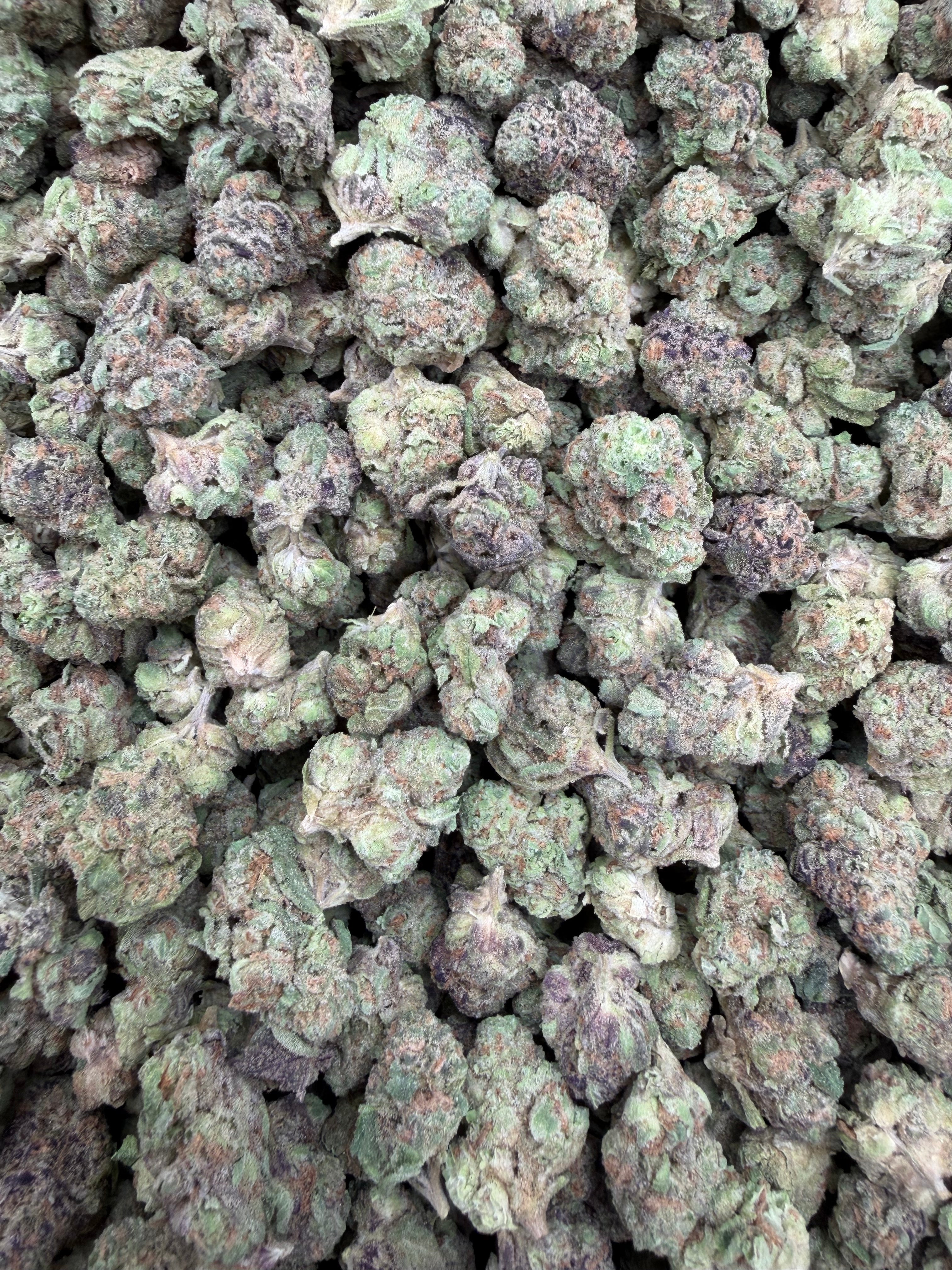 Purple Punch Indoor Smalls THCA flower – full current-batch photo