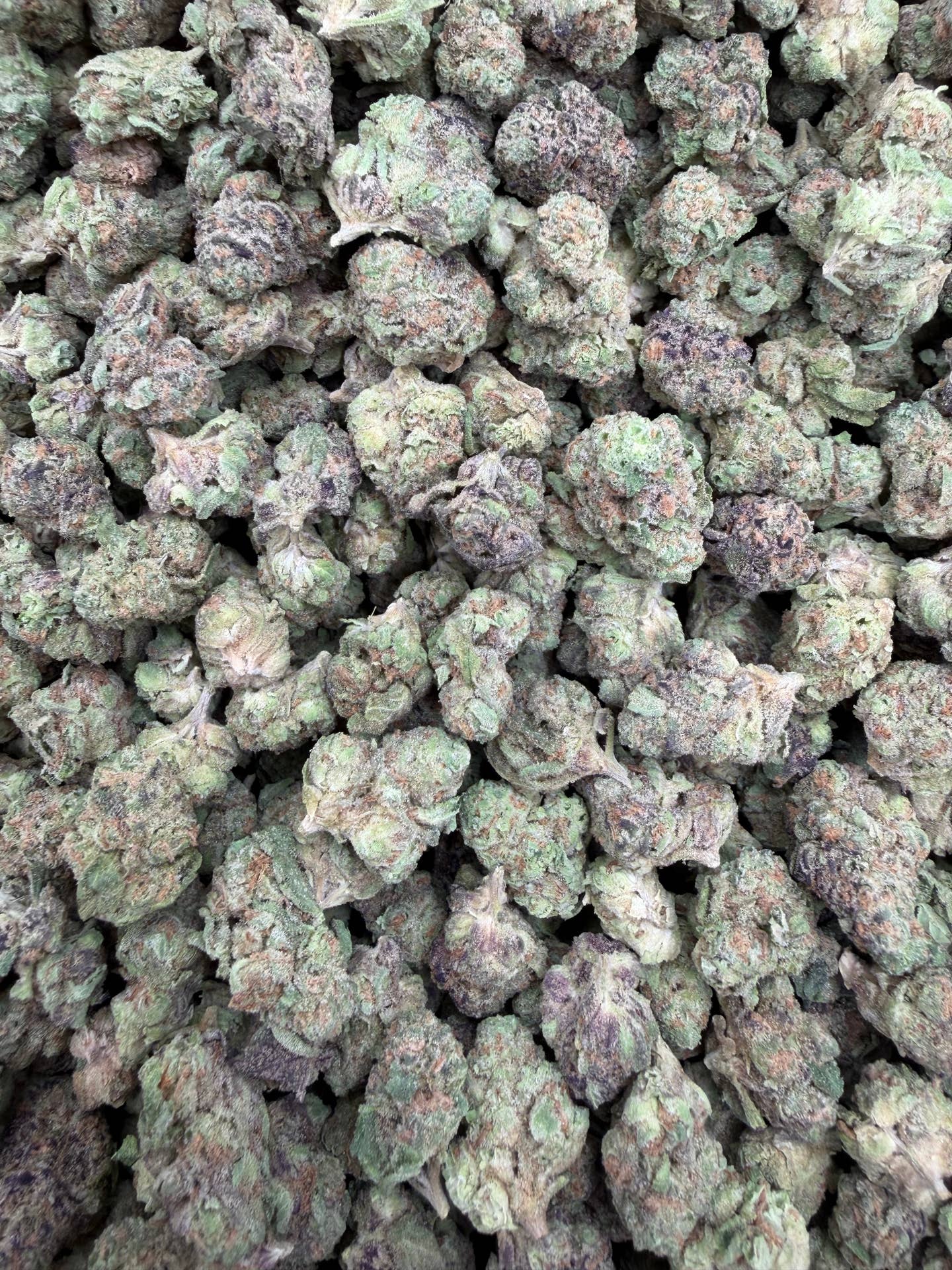 Purple Punch Indoor Smalls THCA flower – full current-batch photo