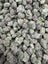 Purple Punch Indoor Smalls THCA flower – full current-batch photo