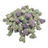 Purple Punch Micros THCA flower isolated current-batch buds