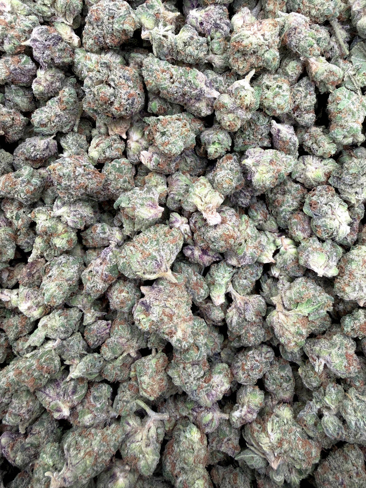 Purple Rock Candy Indoor Smalls THCA flower full current-batch photo