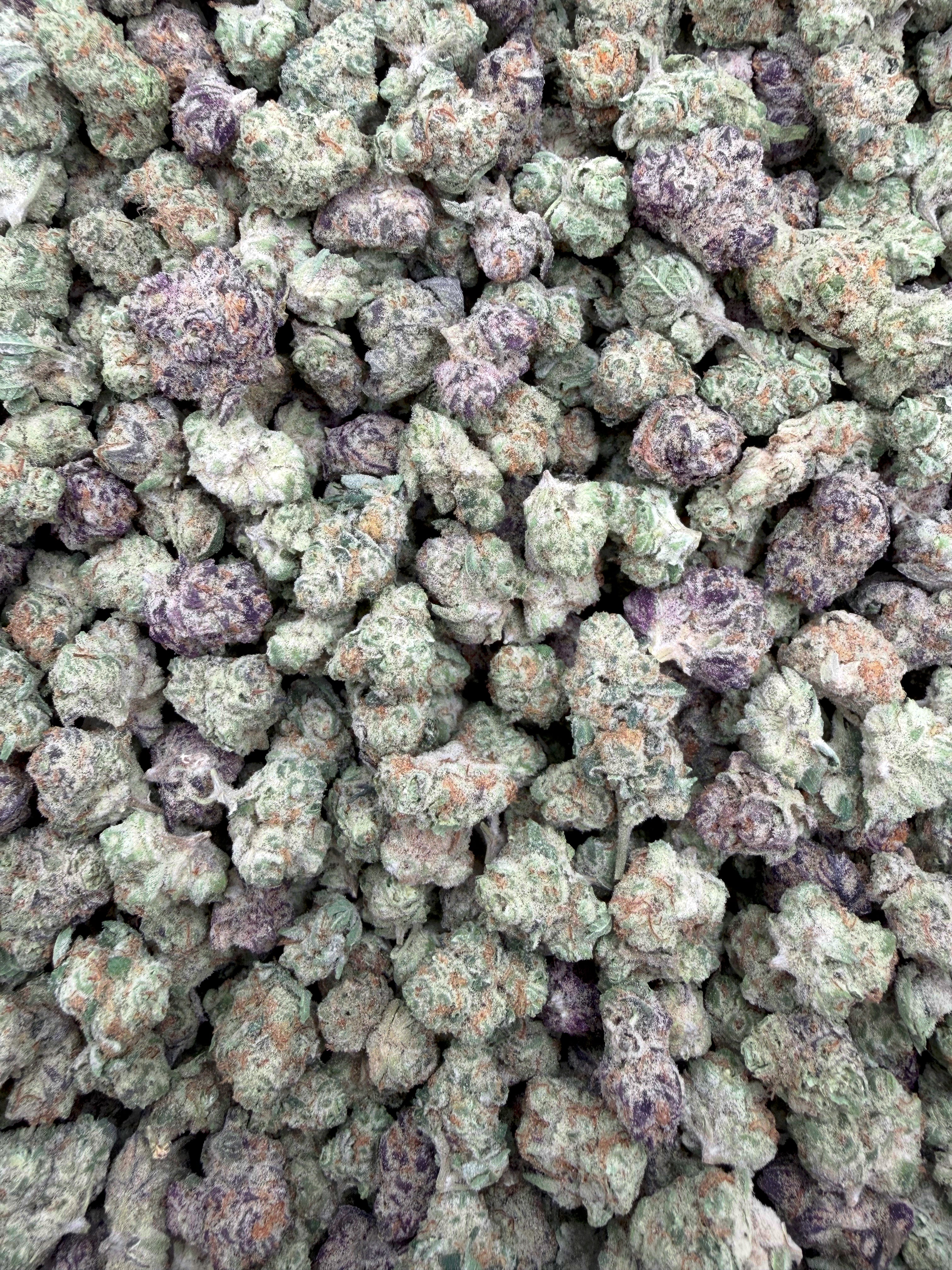 Purple Rock Candy THCA flower full-frame batch photograph