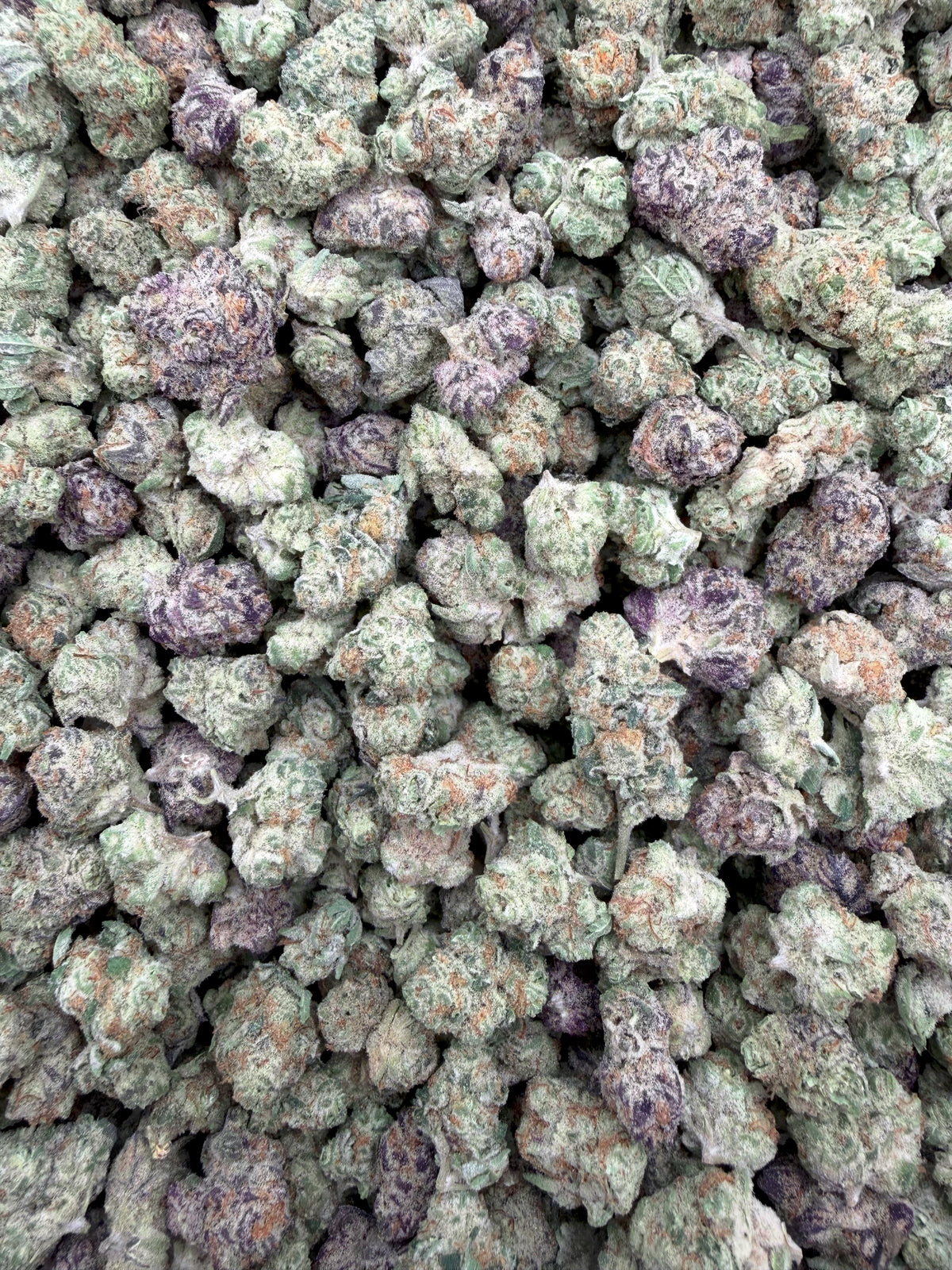 Purple Rock Candy THCA flower full-frame batch photograph