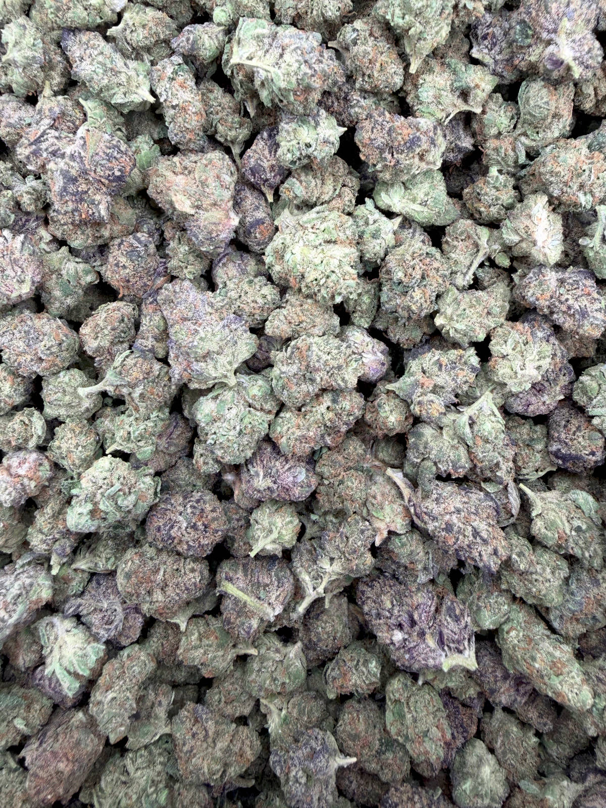 Purple Sizzurp Smalls THCA flower - full current-batch lot photo
