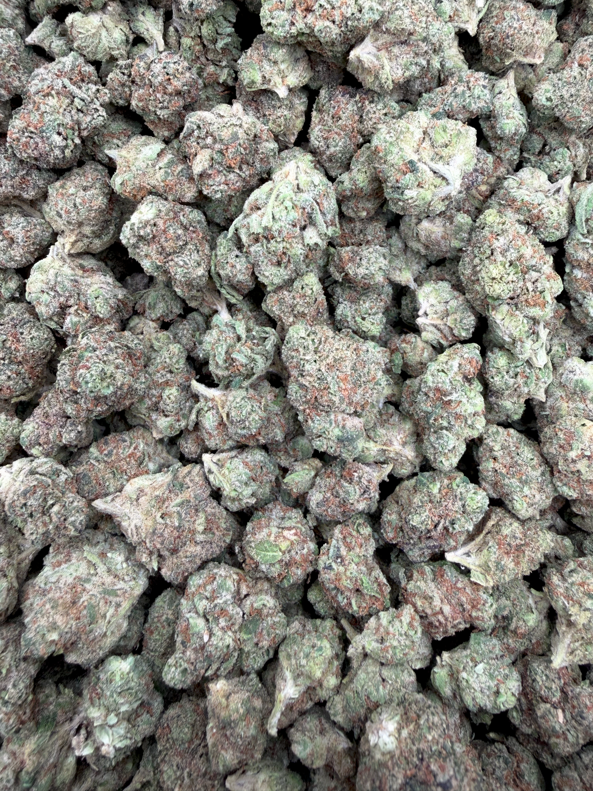Red Velvet Indoor Smalls THCA flower – full-frame current-batch buds