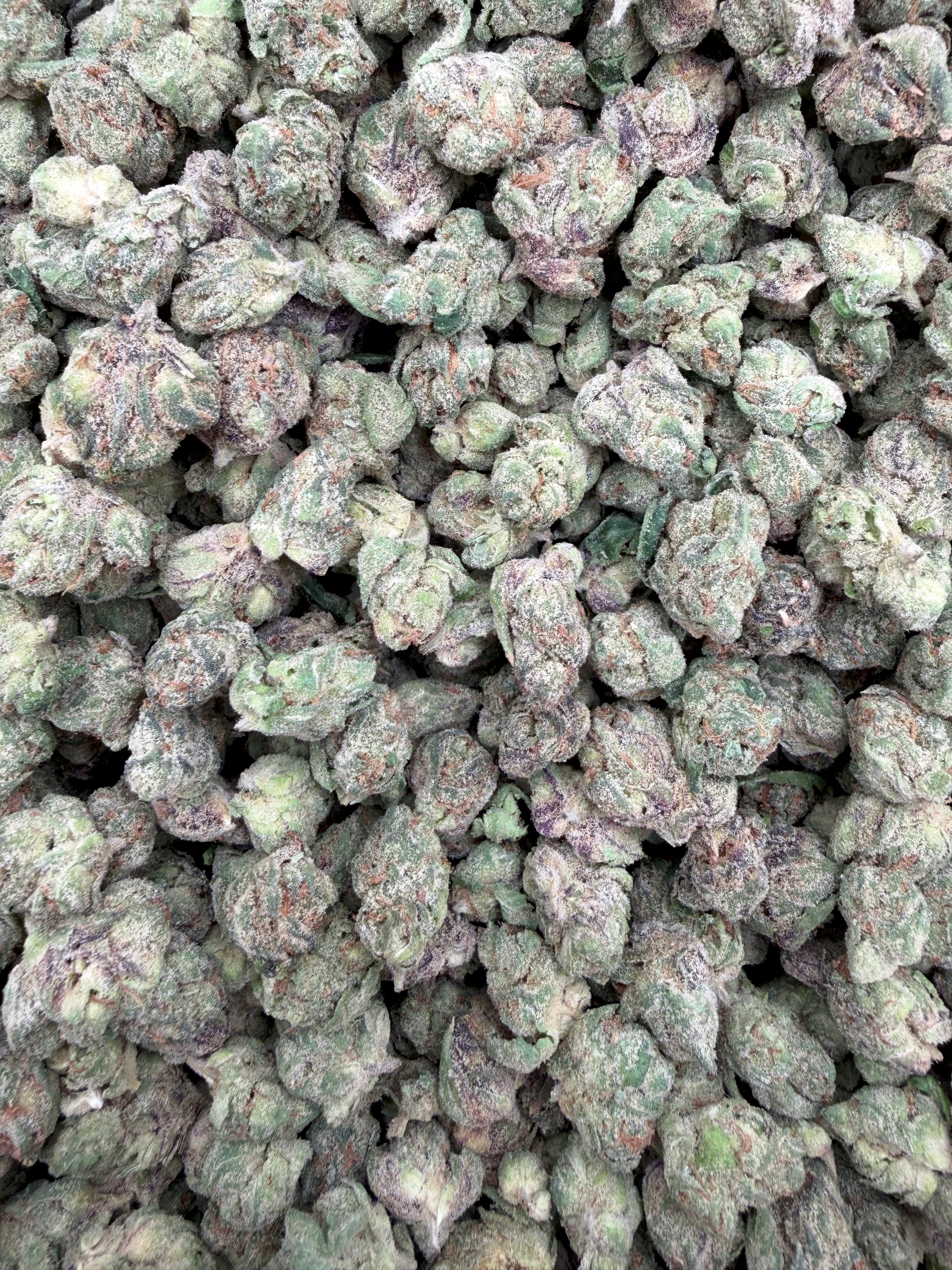 Satsuma Sherb THCA flower full-frame batch photograph