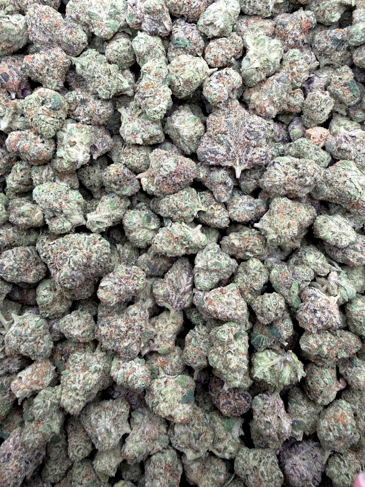 Scissor Queen Indoor Smalls THCA flower full current-batch photo