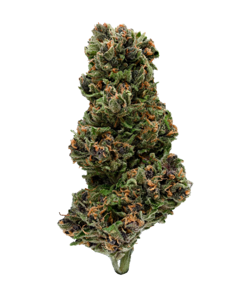 Pink Panther Hemp Flower