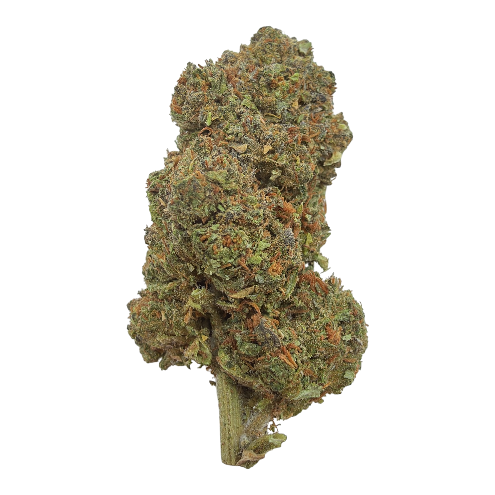 Sherbacio Green House THCA Flower
