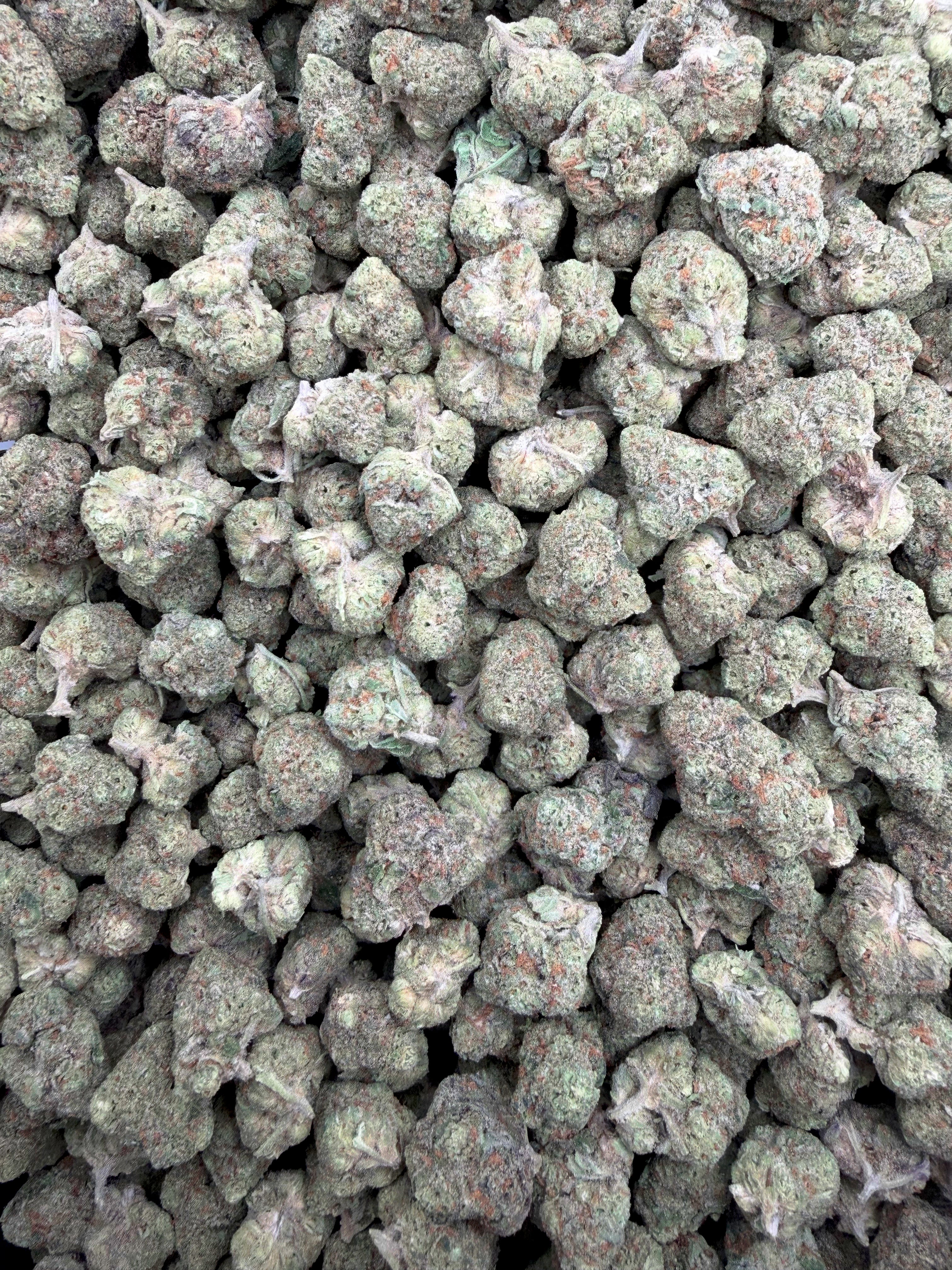 Skittz Burn THCA flower full-frame batch photograph