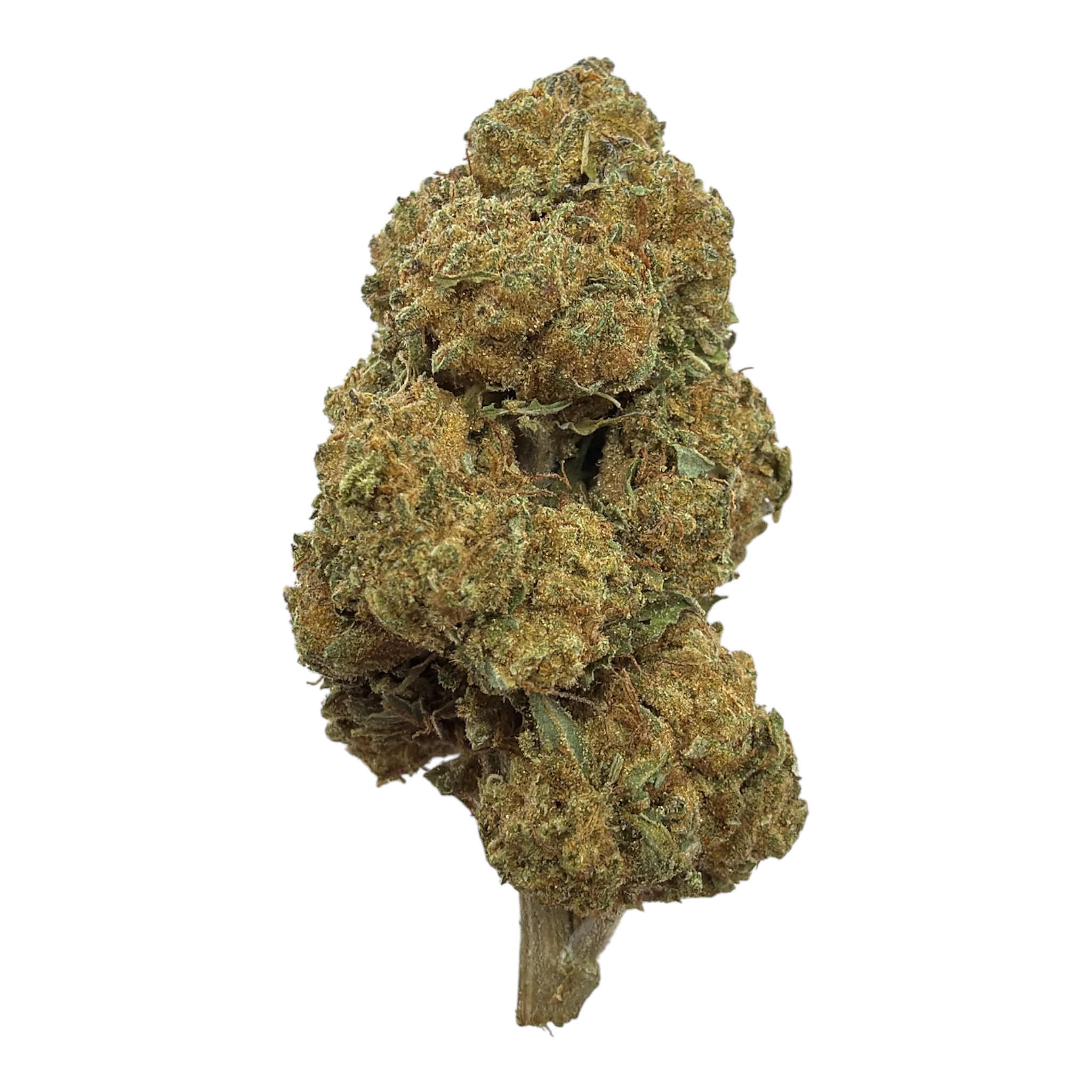 Skywalker OG Green House THCA Flower
