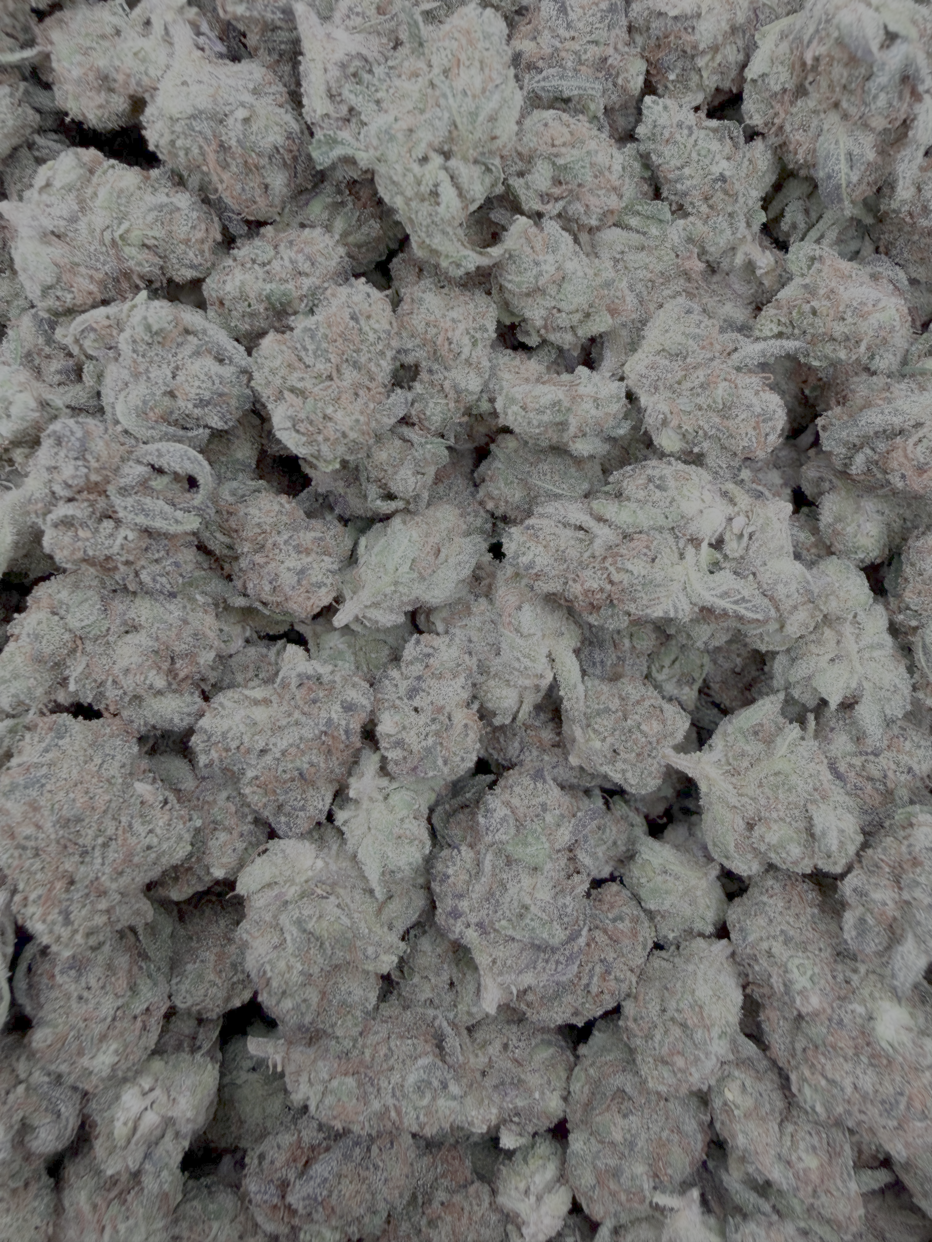 Space Station THCA flower full framed lot