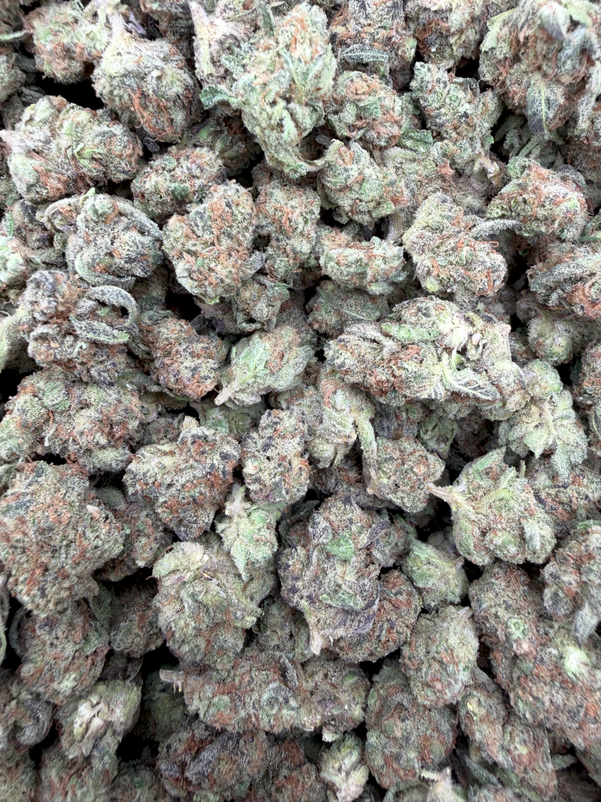 Space Station Indoor Smalls THCA flower – full-frame current-batch buds