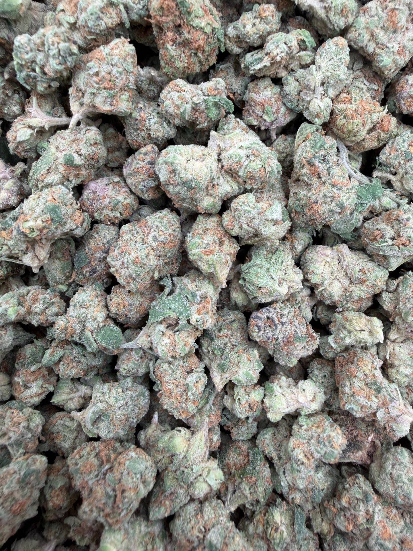 Sugar Cookies Indoor Smalls THCA flower – full current-batch photo