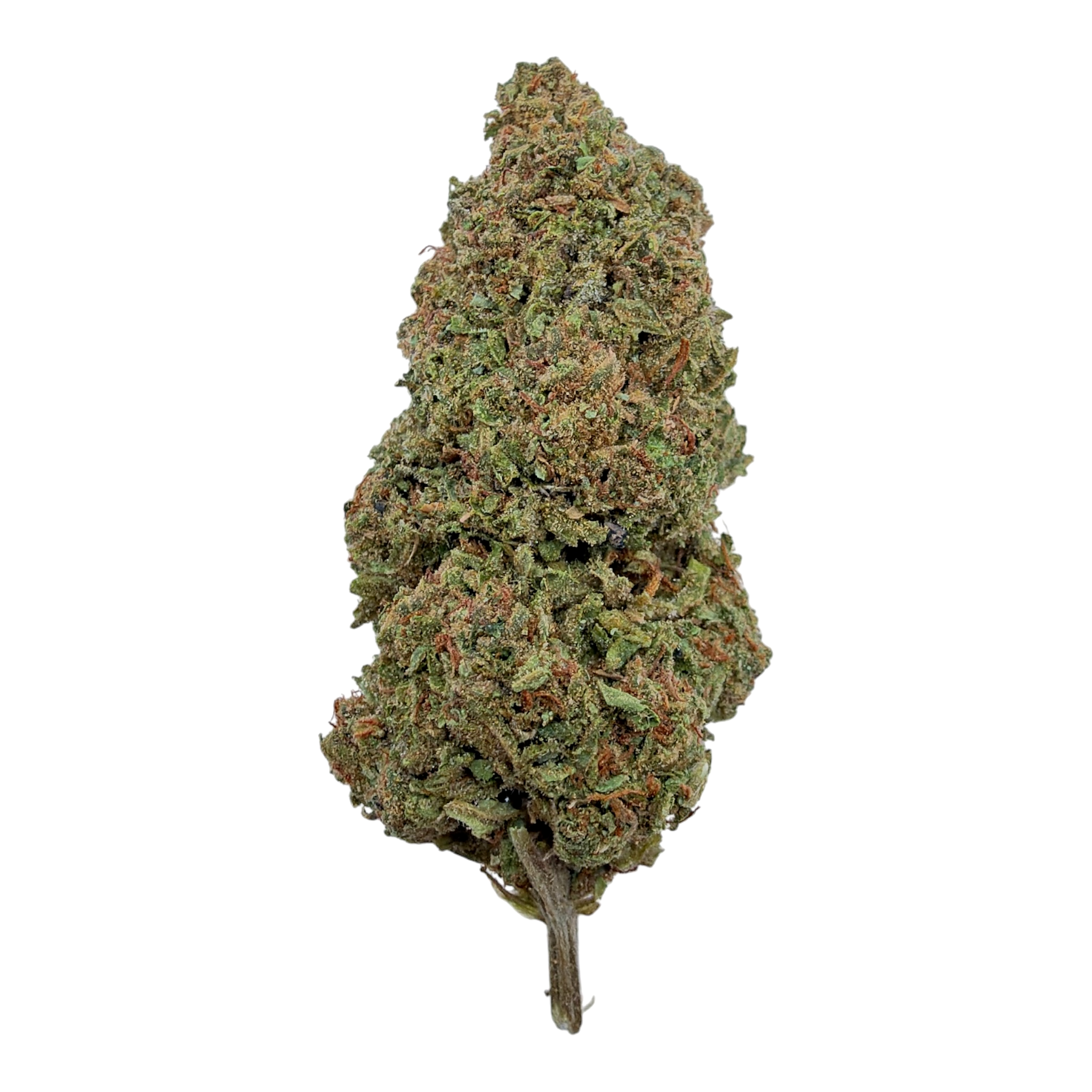 Sunset Sherbet Light Assist THCA Flower