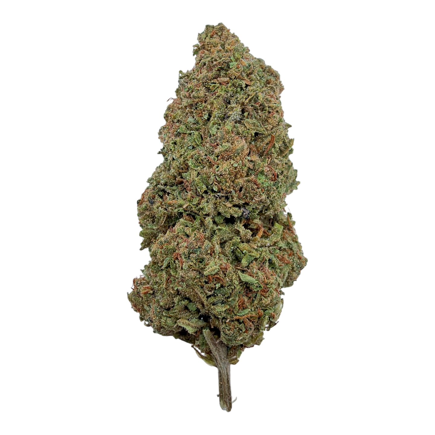 Sunset Sherbet Light Assist THCA Flower