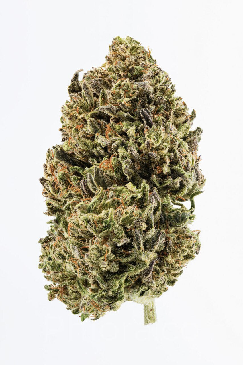 Suver Haze
