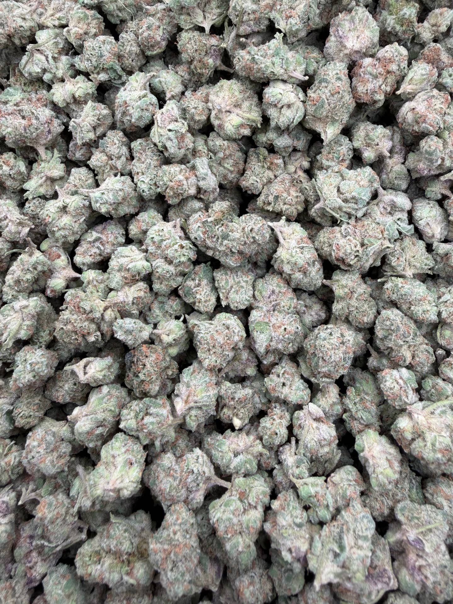 Triple Candy Exotic Smalls THCA flower batch close-up