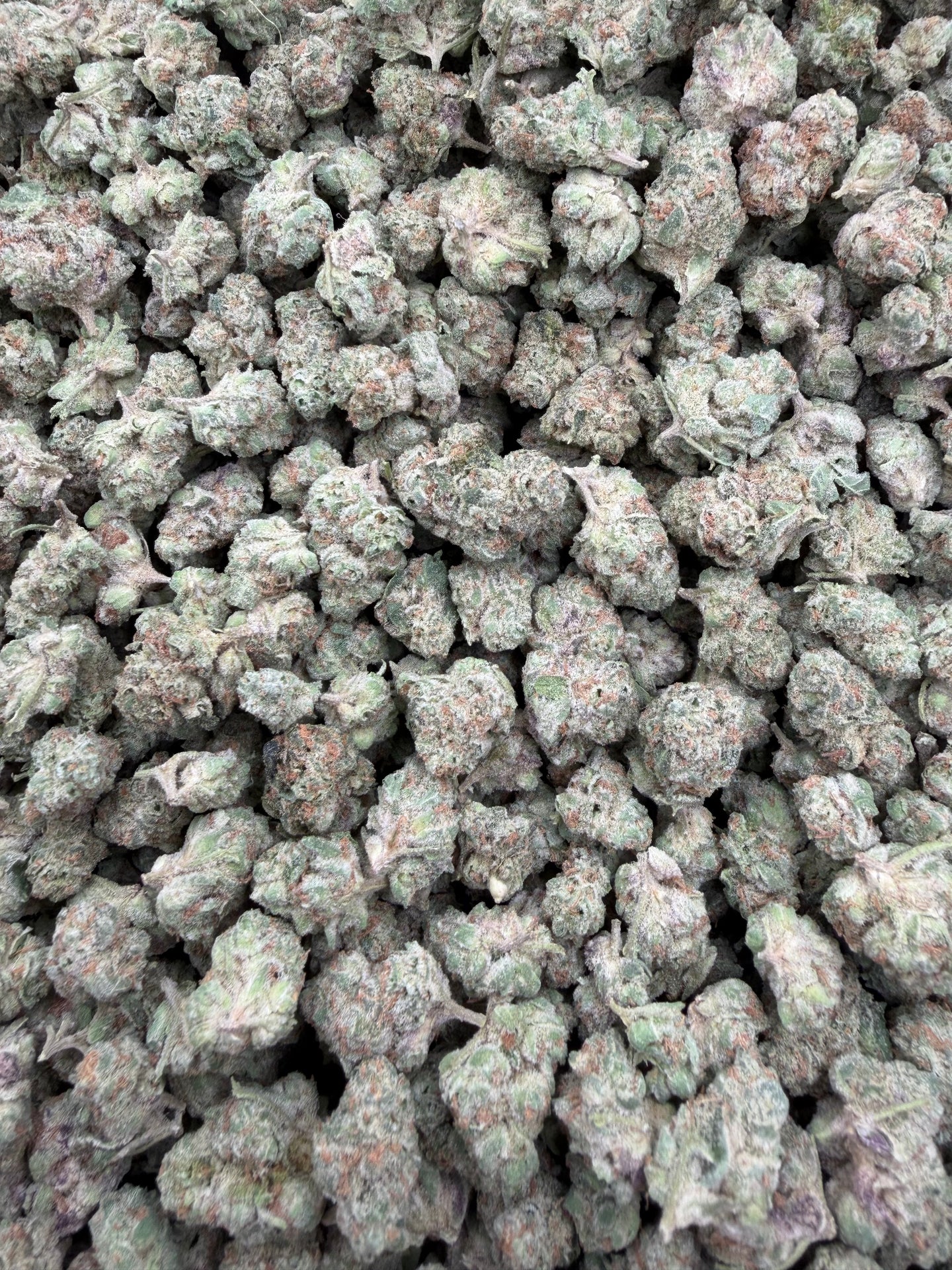 Triple Candy Exotic Smalls THCA flower batch close-up