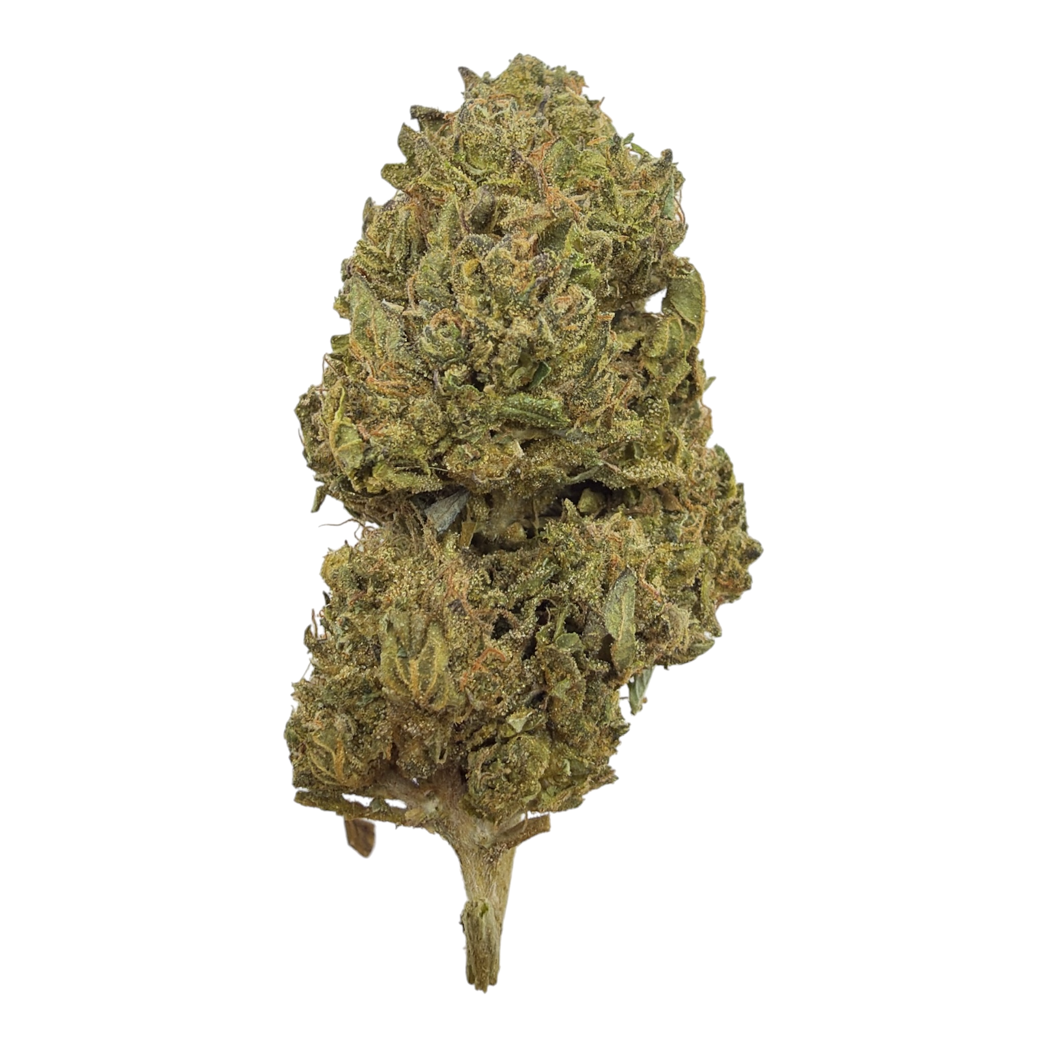 Triple OG Greenhouse THCA flower nug