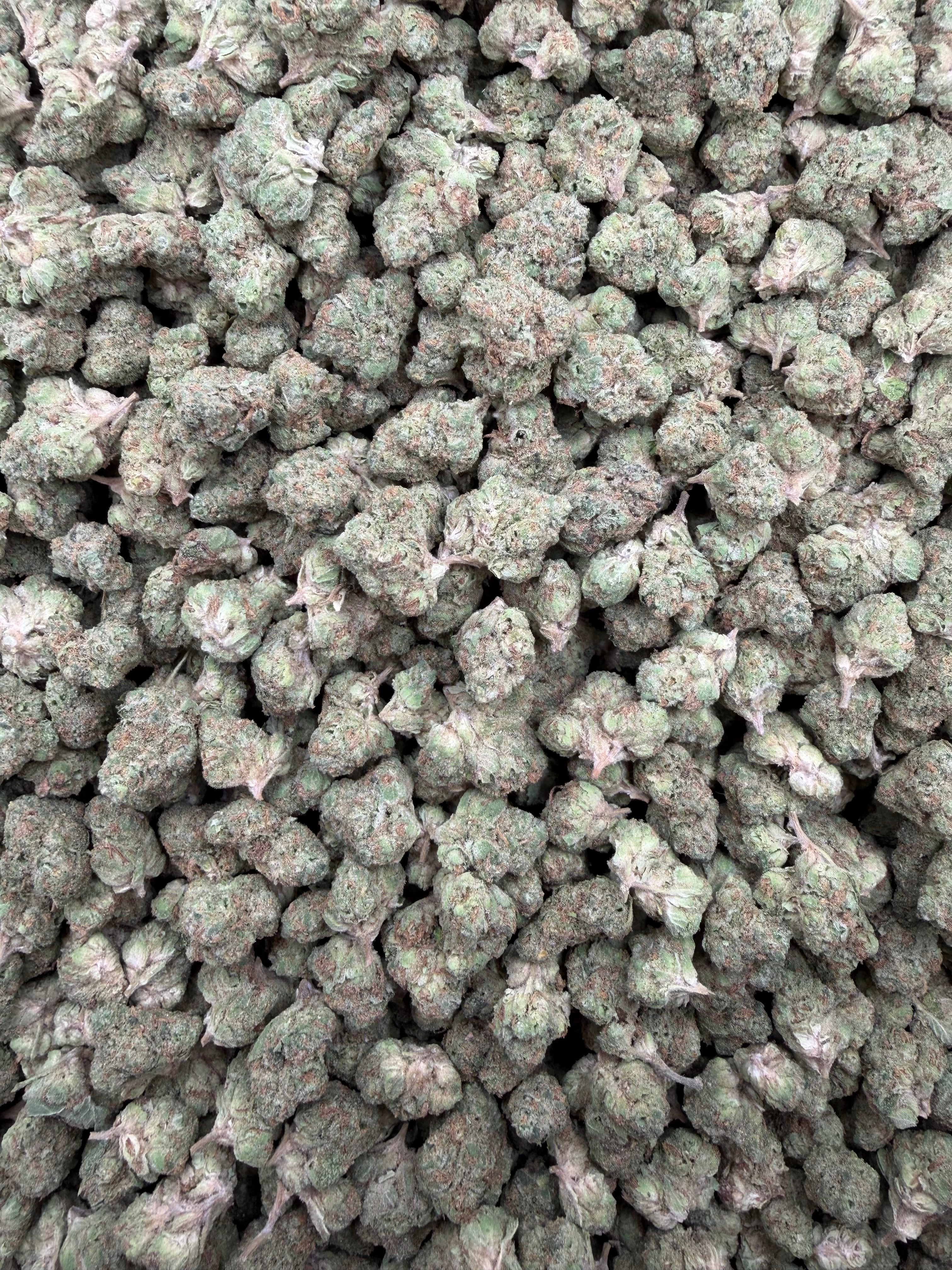 White Cherries smalls THCA flower - exact current-lot full-frame photo