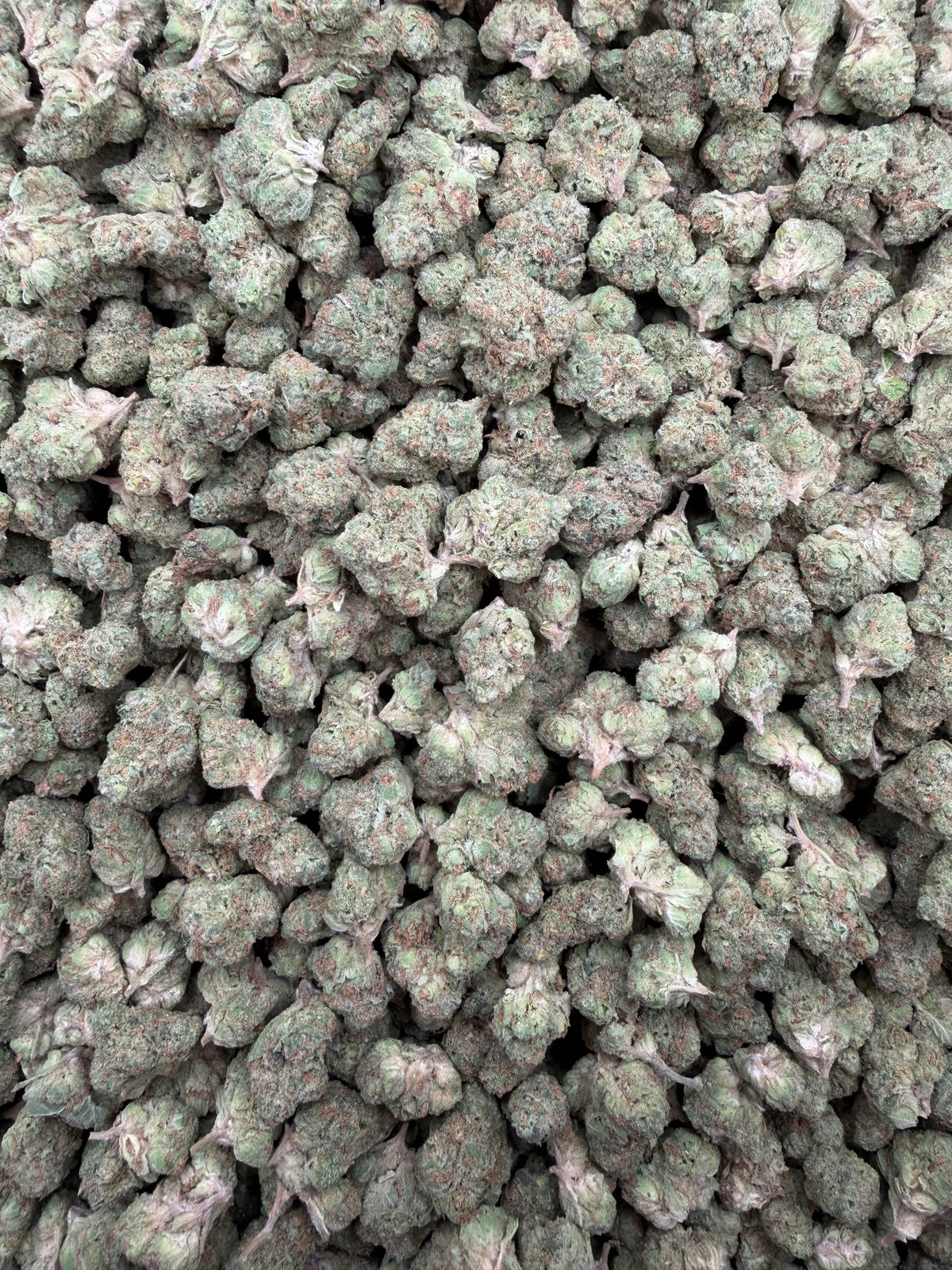 White Cherries smalls THCA flower - exact current-lot full-frame photo