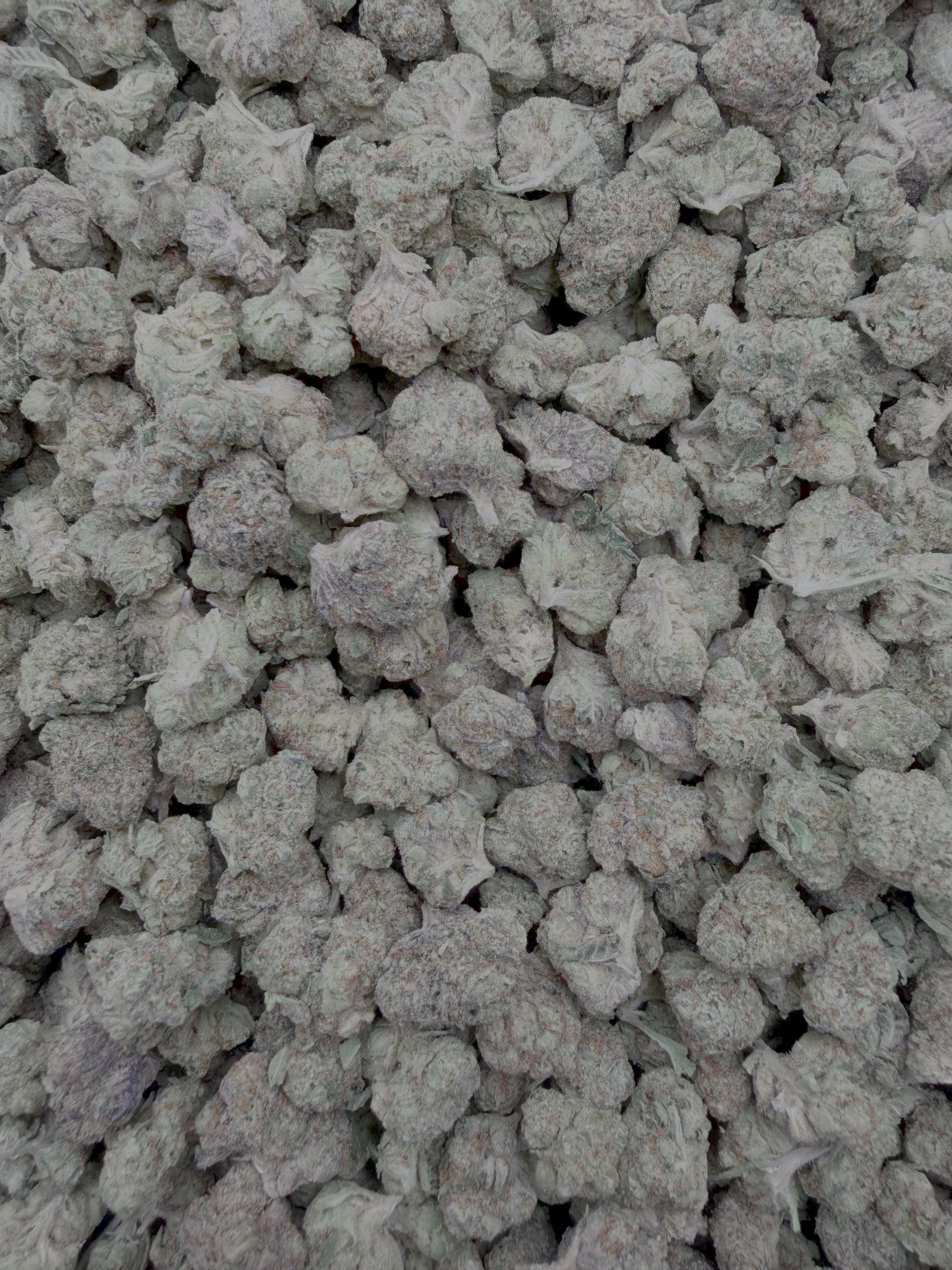 White Durban THCA flower full framed lot