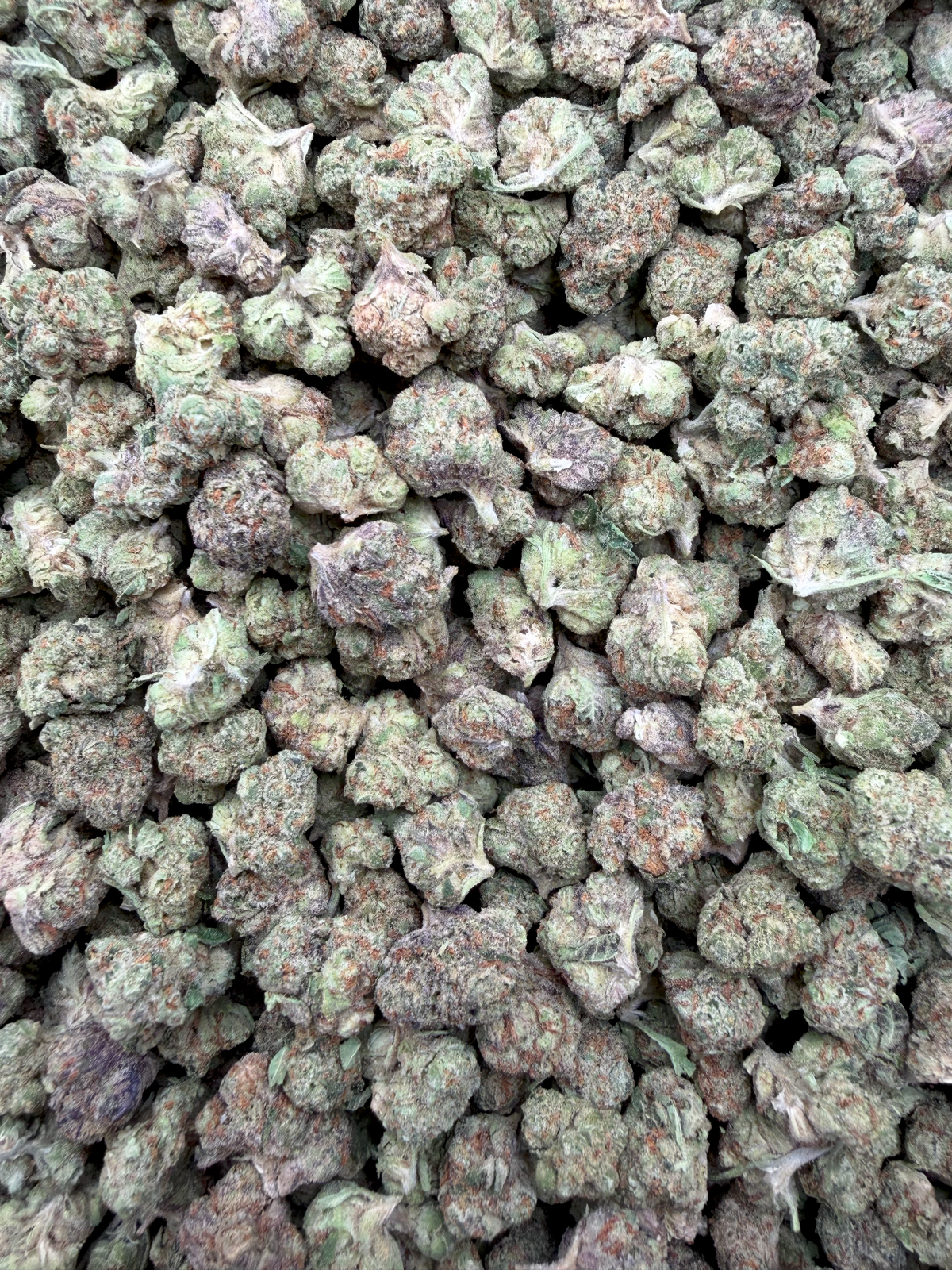 White Durban THCA flower full framed lot