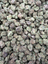 White Durban THCA flower full framed lot