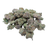 White Durban Indoor Smalls THCA flower – isolated current-batch buds