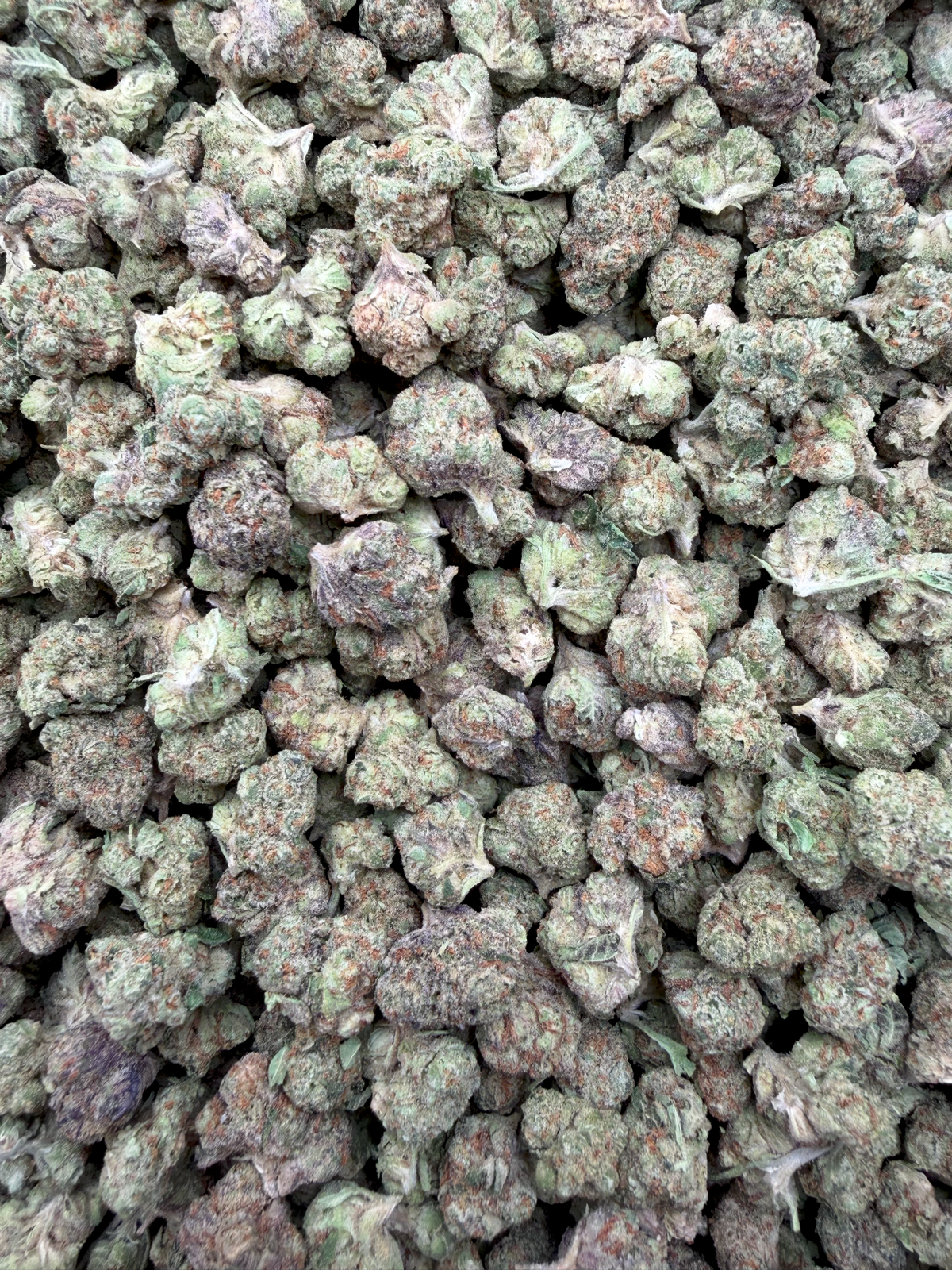 White Durban Indoor Smalls THCA flower – full-frame current-batch buds