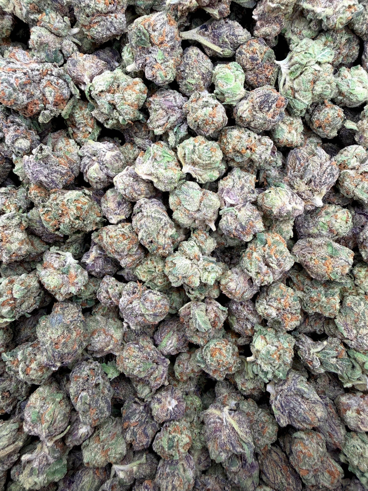 White Rhino Indoor Smalls THCA flower full current-batch photo